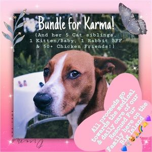 Bundle Deals for Days!😻Gratitude is Here to Stay!